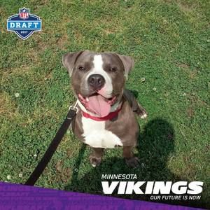 Meet your Posher, Steven